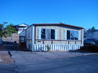 25 Rhine Ln, Golden Valley, NV 89506 