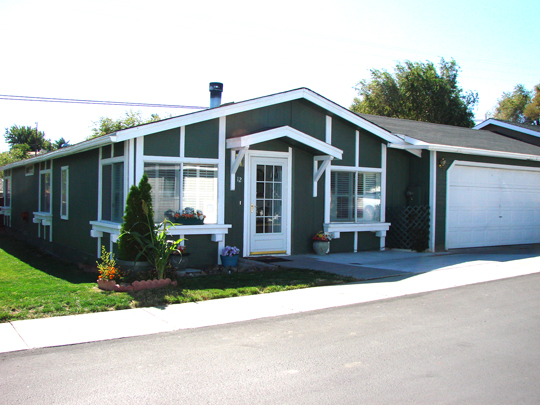12 Wilshire Dr., Golden Valley, NV 89506 