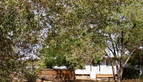 2659 Stewart Avenue, Minden, NV 89423 