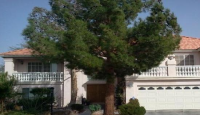 3736 Barrelwood Dr, Las Vegas, NV 89147 