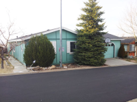 9 Brookshire Dr, Golden Valley, NV 89506 