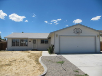 807 Brandy Court, Dayton, NV 89403 