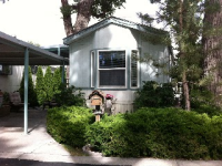 64 Shady Tree Lane, Carson City, NV 89706 