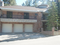 4027 Mont Blanc Way, Mt Charleston, NV 89124 