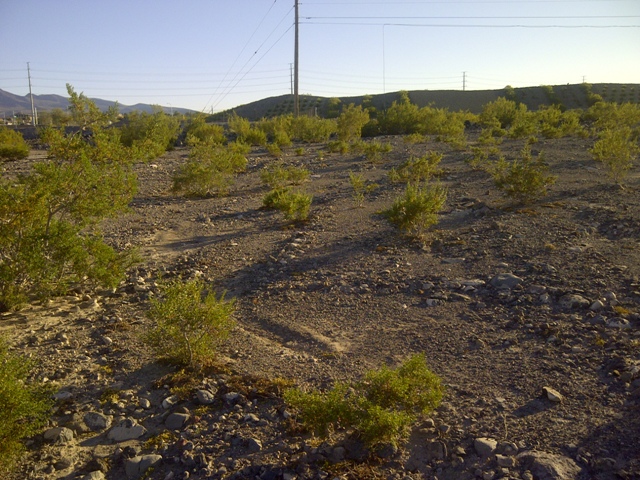 Apn 17724706003, Henderson, NV 89074 