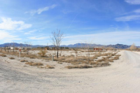1145 Mercury Ave, Jean, NV 89019 