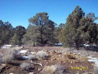 1510 Yellowjacket, Reno, NV 89521 