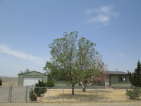 3811 Atkins Street, Silver Springs, NV 89429 