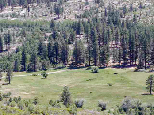 000 Franktown Road, Washoe Valley, NV 89704 