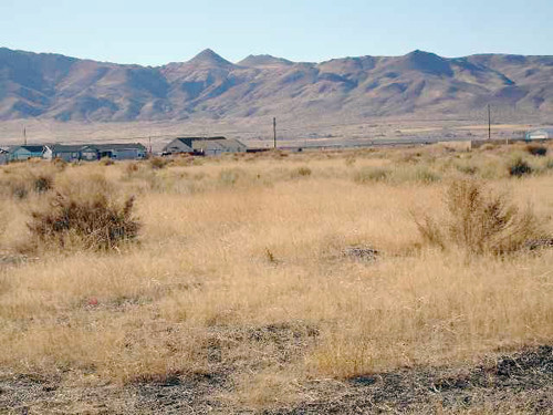 APN 003-081-06, Yerington, NV 89447 