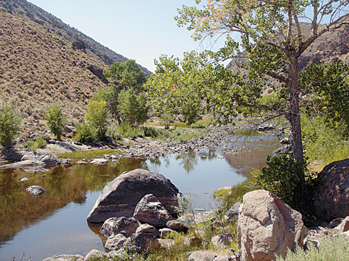 9999 Wegotta Way, Dayton, NV 89403 