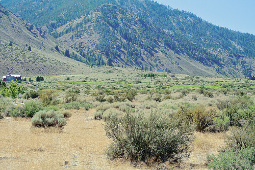 420 Mountain Meadow Drive, Genoa, NV 89411 