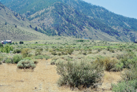 420 Mountain Meadow Drive, Genoa, NV 89411 