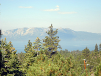 188 S Benjamin, Stateline, NV 89449 