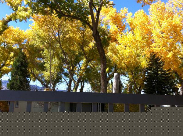 62 Shady Tree Lane, Carson City, NV 89706 