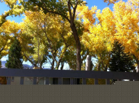 62 Shady Tree Lane, Carson City, NV 89706 