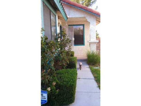2846 Belleza  Lane, Henderson, NV 89074 