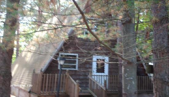 103 Florence Avenue, Northville, NY 12134 Foreclosure