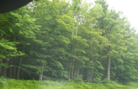 267 FERNDALE RD LOT 83.1, FERNDALE, NY 12734 Foreclosure