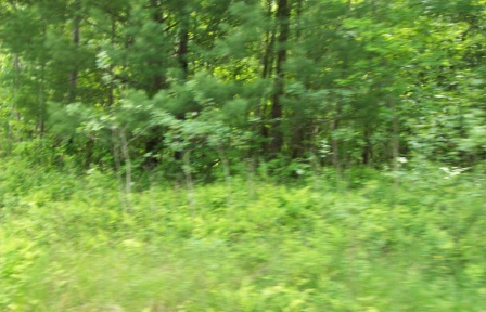 267 FERNDALE RD LOT 83.3, FERNDALE, NY 12734 