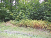 LOT 39 WOODSTON, WHITE LAKE, NY 12786 Foreclosure