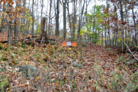 10 HILLTOP DR, CORTLAND MANOR, NY 10567 