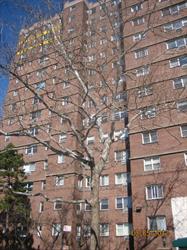 175 Willoughby St Unit 2f, Brooklyn, NY 11201 