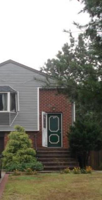 234 Buffalo Avenue, Medford, NY 11763 