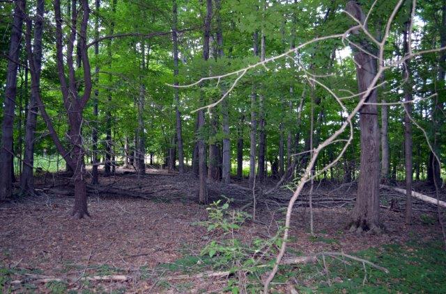 487 Hoagerburgh Road, Wallkill, NY 12589 