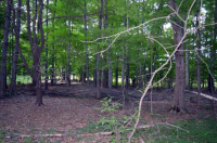 487 Hoagerburgh Road, Wallkill, NY 12589 