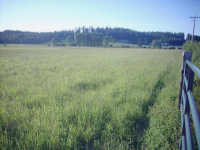 14527 N RIMROCK RD, Hayden, ID 14527 