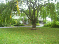 4 Stillwater Rd, Nissequogue, NY 11780 