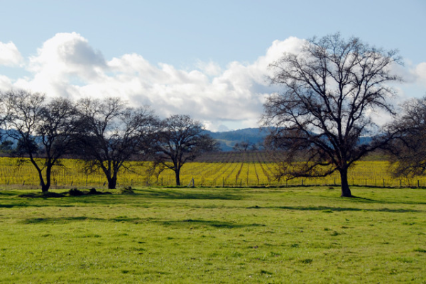 10501 Herb Road, Windsor, CA 10501 