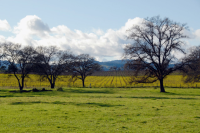 10501 Herb Road, Windsor, CA 10501 