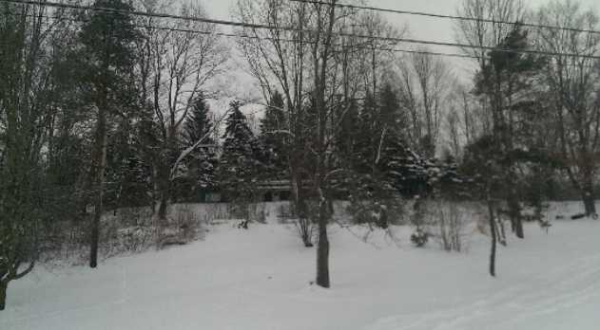 1034 Route 394, Kennedy, NY 14747 