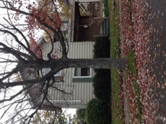 115 Morse St, Niles, OH 44446 