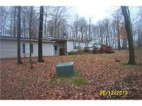 21225 Alliance Sebring Rd, Alliance, OH 44601 