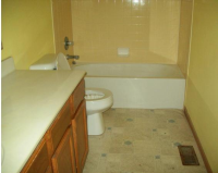 1517 Morrison Farms, Blacklick, OH 43004 