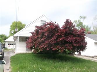 828 East Dewey Aven, Youngstown, OH 44502 