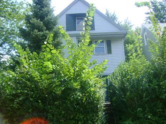 1202 West Ave, Elyria, OH 44035 