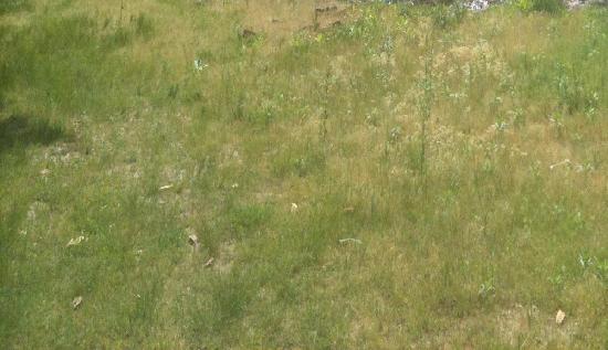 Rr 1 Box 1061, Watts, OK 74964 