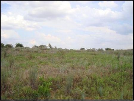 Lot 3 Block 3 River Springs, Randlett, OK 73562 