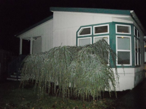 401 JEFFERSON SCIO L-26, Jefferson, OR 97352 