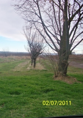 52692 BURRIS RD, MILTON FREEWATER, OR 97862 