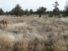 LOT 66 PRONGHORN ESTATES, BEND, OR 97701 