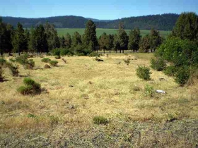 LOT 997 RUNNING Y PHASE 12, KLAMATH FALLS, OR 97601 