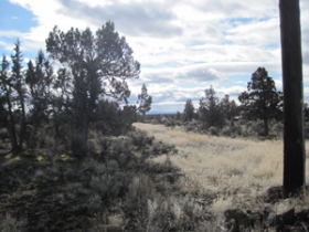 1040 SW BENT LOOP, POWELL BUTTE, OR 97753 