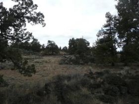 LOT 160 PRONGHORN ESTATES PHASE 2, BEND, OR 97701 