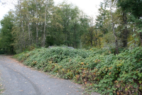 3 Mckenzie Highway, Walterville, OR 97489 Foreclosure