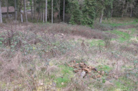 8663 Blackhawk Ct, Salem, OR 97306 